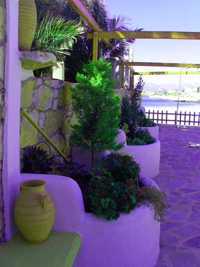 hotel garden